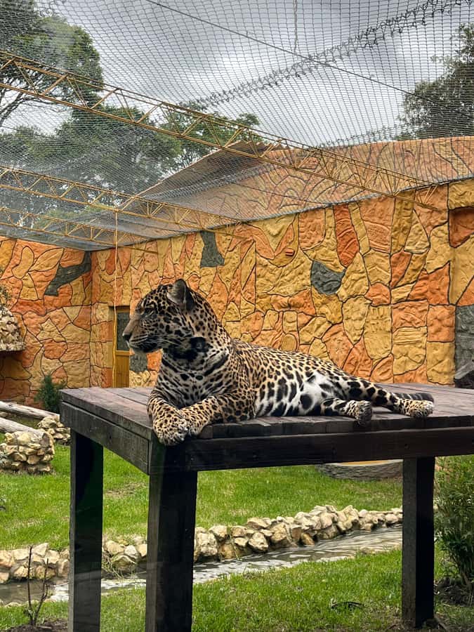 BOGOTA: Tour of Jaime Duque Park, Zoo, and Aerospace Museum - Lunch in Tocancipá and the limits of the schedule