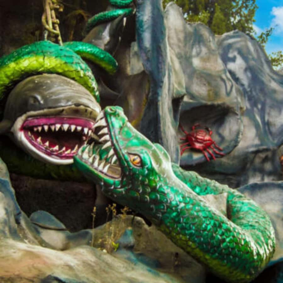 Bogota: Tour to Salitre Mágico, An Extreme Fun Trip - A two-hour change of pace at the Botanical Garden