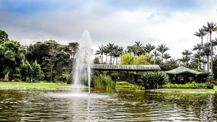 BOGOTA: Visit to the Botanical Garden and Ugly Betty's House - What $50 Per Person Buys You