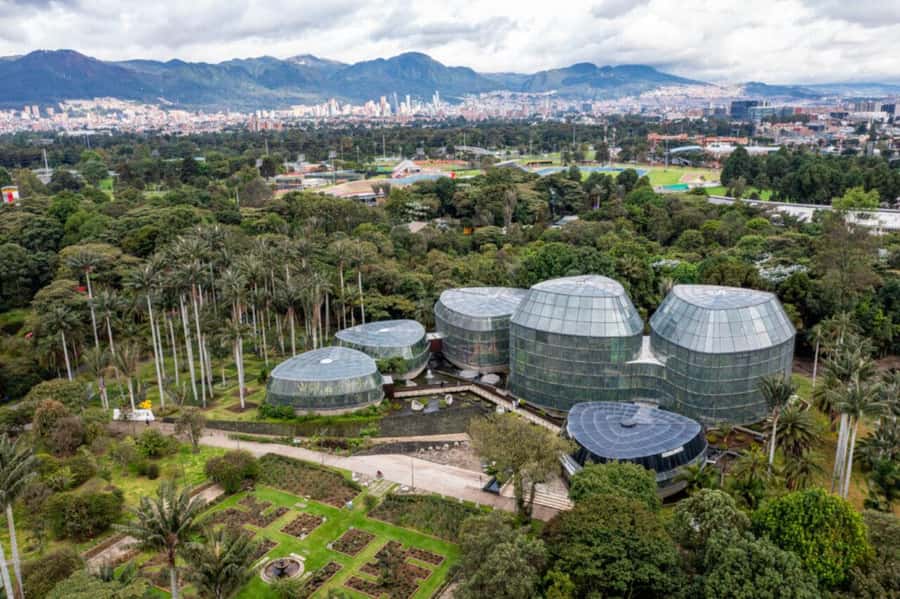 BOGOTA: Visit to the Botanical Garden and Ugly Betty's House - Two and a Half Hours Among Colombia’s Plants