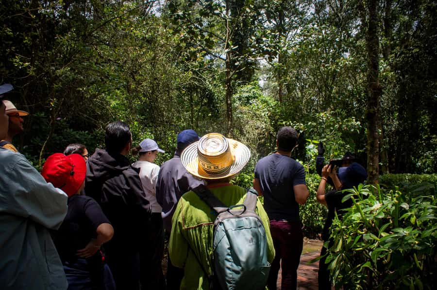 Bogota:Zipaquirá Salt Cathedral & Guatavita Trip with Pickup - What makes the El Dorado story worth your time