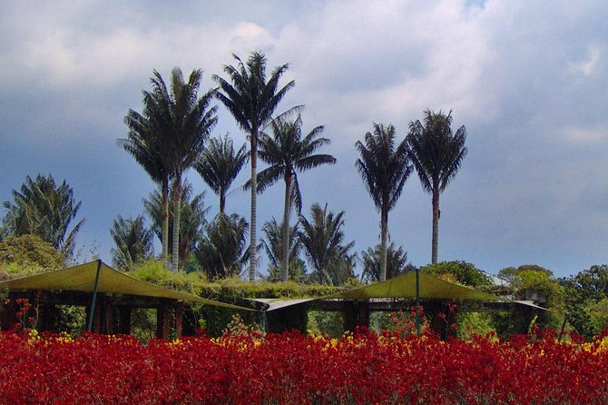 Botanical Garden Bogotá Private Tour (4 Hrs.) - Biology and geology add purpose to the walk