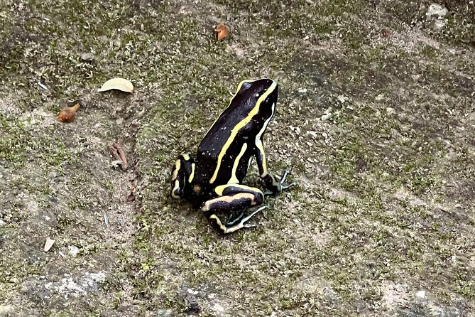 Botanical Garden Cartagena Private Tour with Bilingual Guide - What private transportation adds