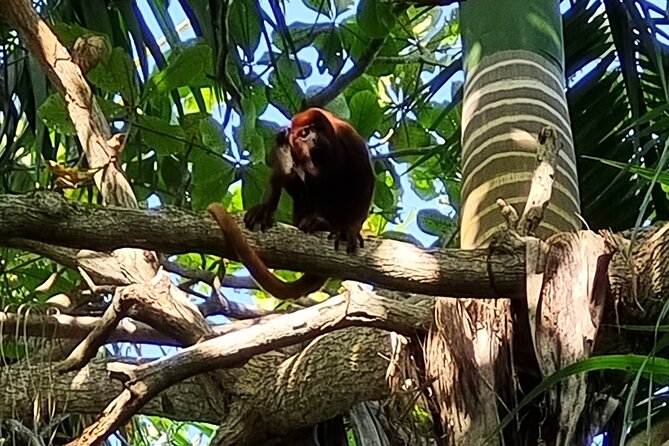 Botanical Garden Cartagena Private Tour with Bilingual Guide - Is $88 per person a fair price?