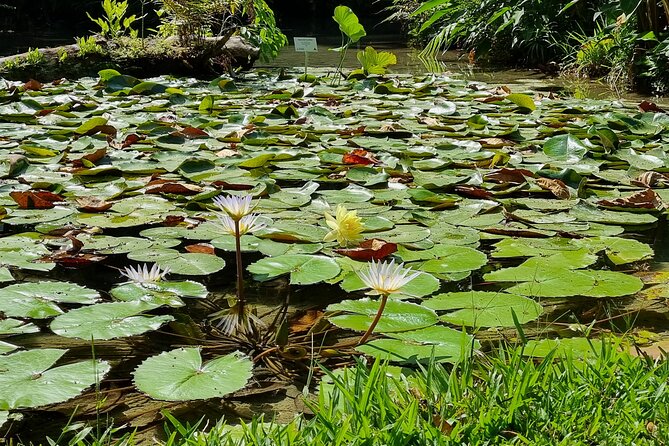 Botanical Garden Cartagena Private Tour with Bilingual Guide - Who will enjoy this outing most
