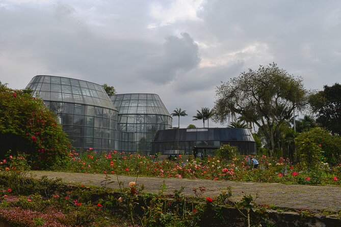 Botanical Garden José Celestino Mutis Photo Tour in Bogota - Who will get the most from two hours