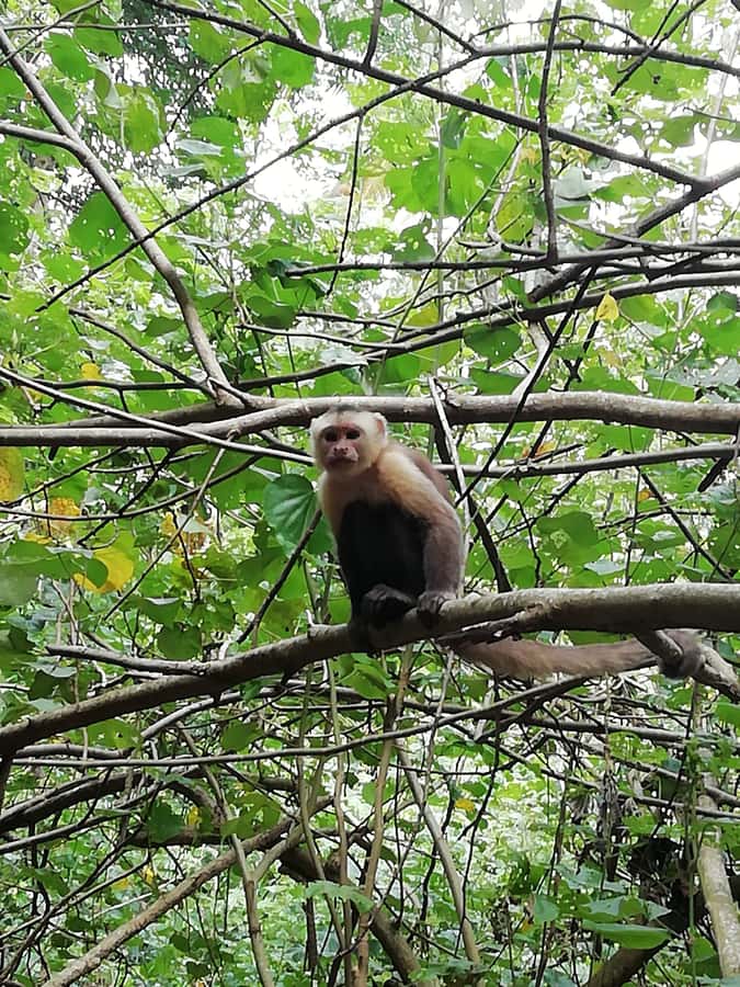 Cabo San Juan Day Tour - The final walk to Cabo San Juan