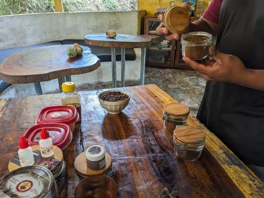 Cacao and Coffee Tour - Inside the farm founded in 1960