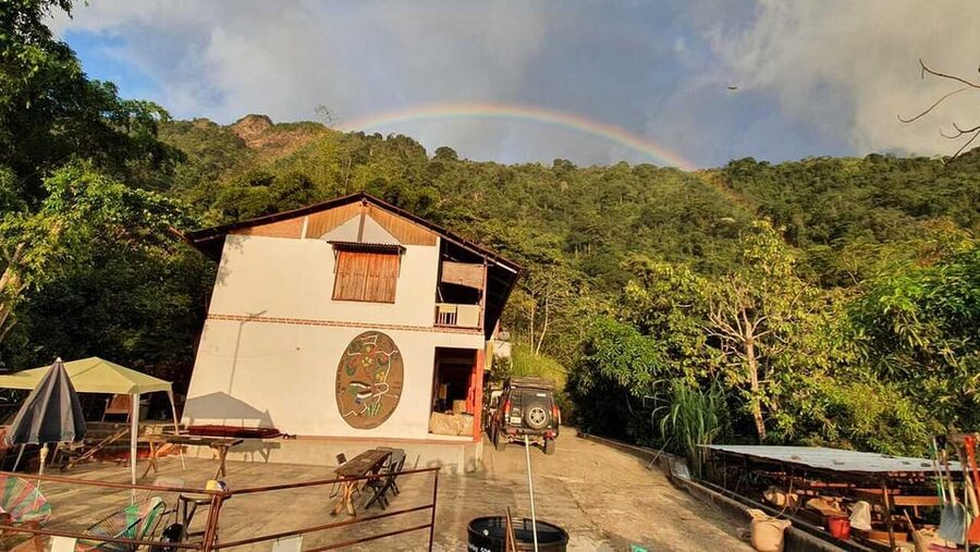 Cacao and Coffee Tour - Raw cacao, hot chocolate, and the exfoliation
