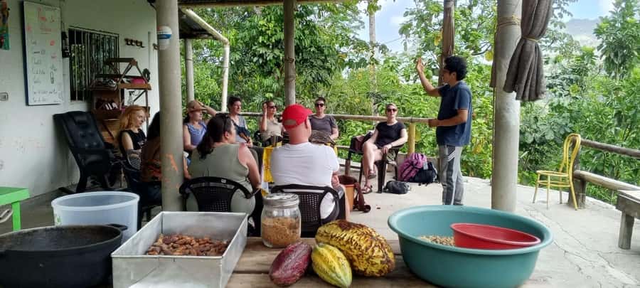 Cacao Experience Tour - My take on the guides