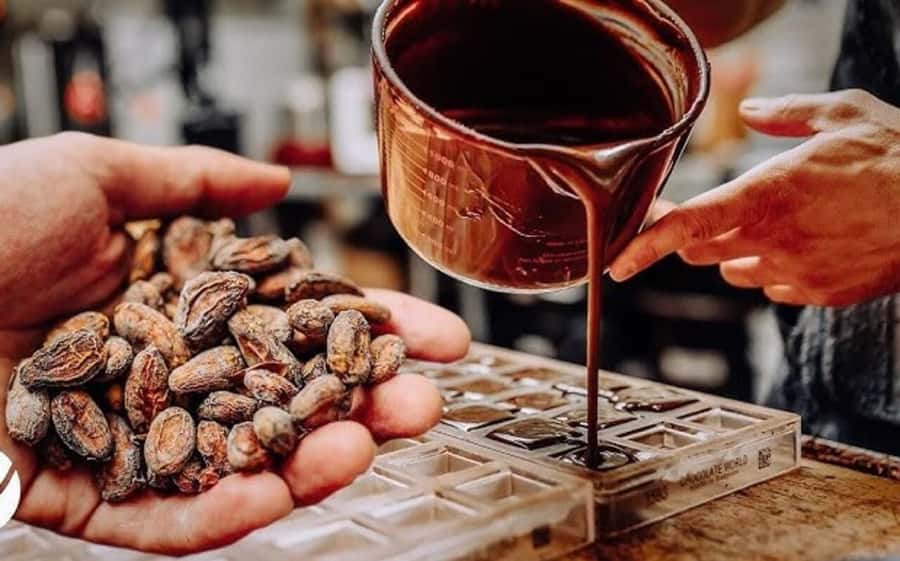Cacao Experience Tour - Walking through Tayrona Indigenous territory