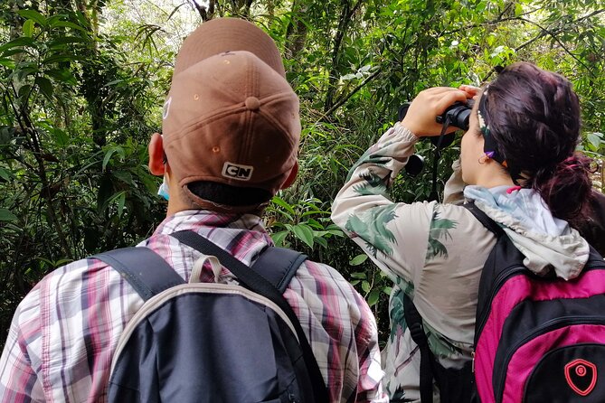 Cali: Bird Watching | Birding in the cloud forest at kilometer 18 - Is $175 per person a fair price?