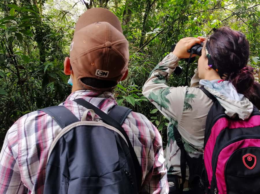 Cali: Bird Watching - Breakfast with a regional start