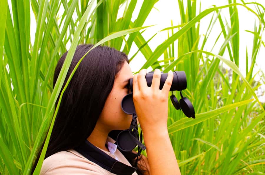 Cali: Birdwatching in la Cumbre - Why Cali is a strong base for birdwatching