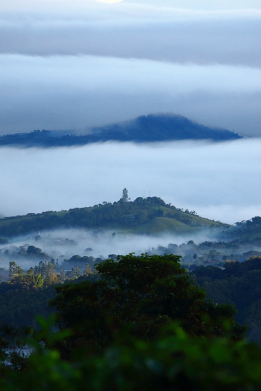 Cali: Birdwatching in la Cumbre - Another 90-minute guided birdwatching session