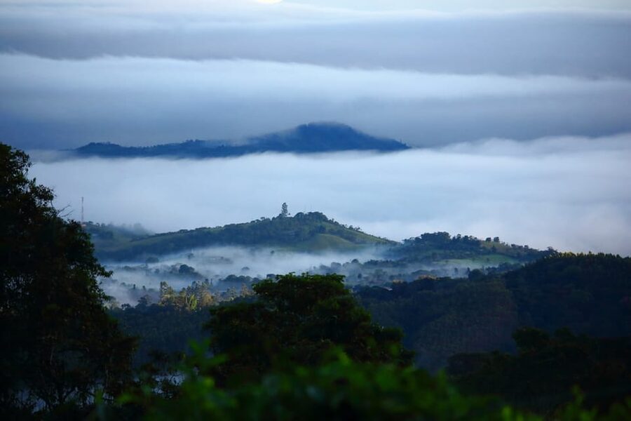 Cali: Birdwatching in la Cumbre - Colombian lunch before returning to Cali
