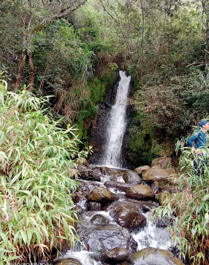 Cali: Cali River Waterfall and Great River Pools Tour - A freshwater escape beside Cali