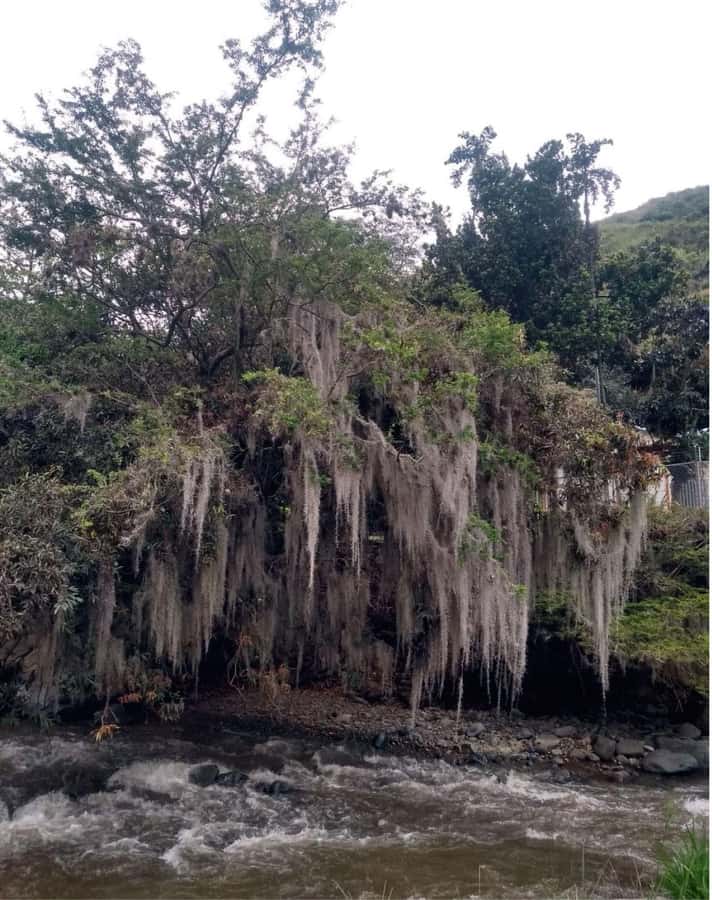 Cali: Cali River Waterfall and Great River Pools Tour - What to wear and carry