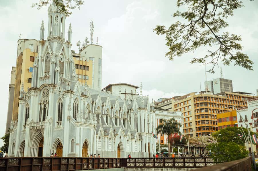 Cali: City Highlights Private Bus Tour with Transfer - Starting at Plaza de Caicedo and the Historic Center