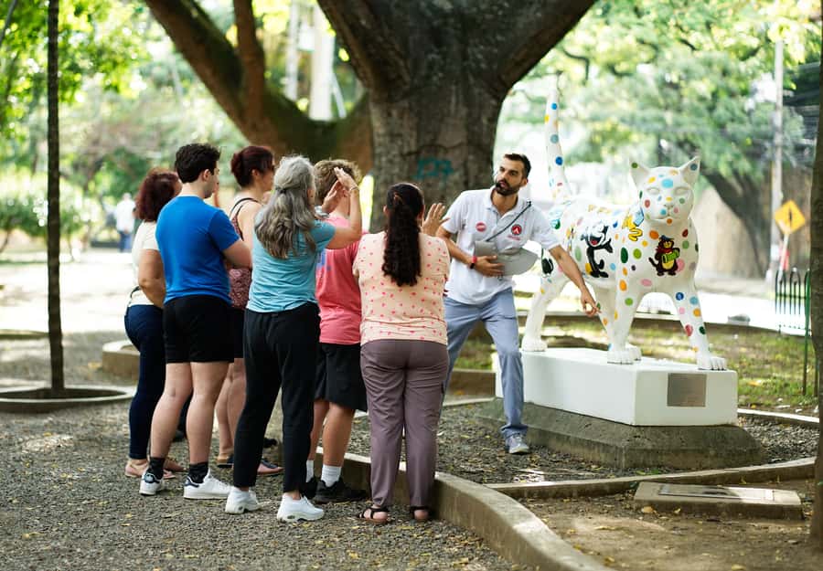 Cali: City Tour - The Cats of the River bring art to the street