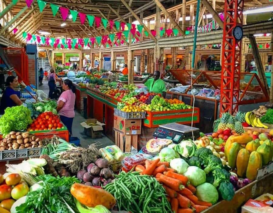 Cali: Cristo Rey, Tertulia Museum & Downtown Cali City Tour - Who should book this experience