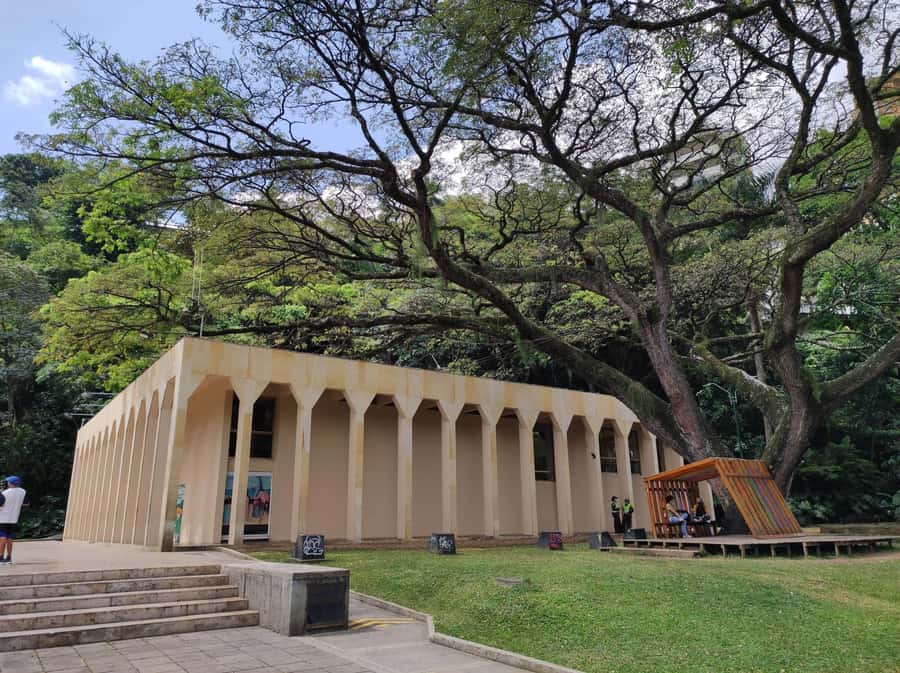 Cali: Cristo Rey, Tertulia Museum & Downtown Cali City Tour - Colombian coffee at a local café
