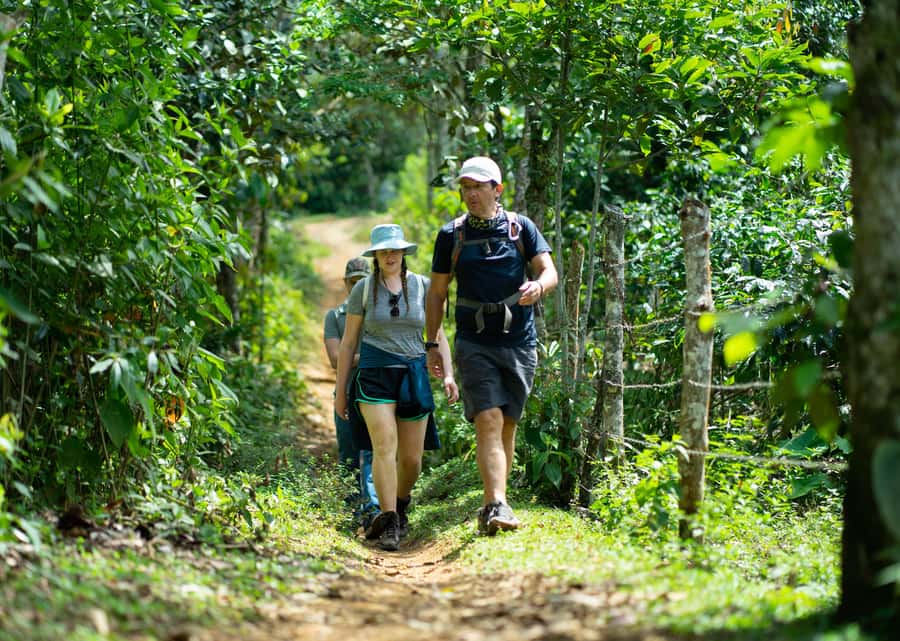 Cali: Hiking to the Pance waterfalls - River crossings and the waterfall swim