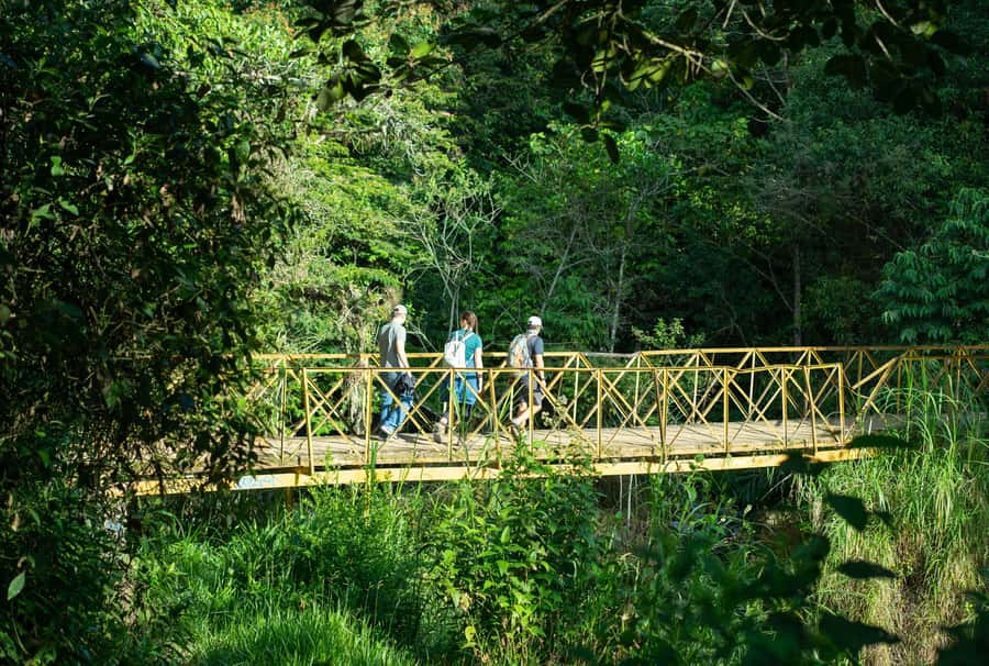 Cali: Hiking to the Pance waterfalls - What the $119 price covers