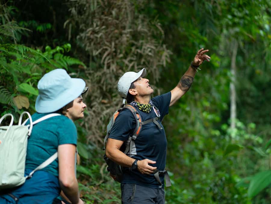Cali: Hiking to the Pance waterfalls - Walking beneath the Farallones