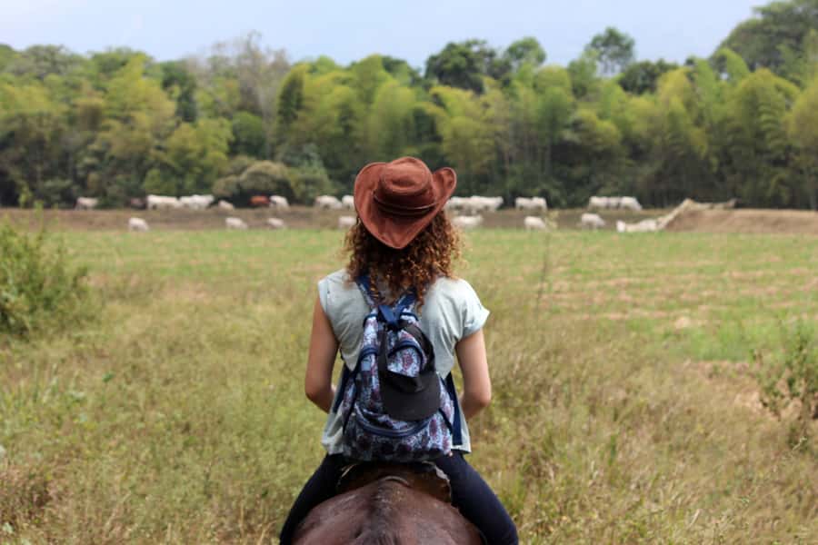Cali: Horseback Riding - Key points to know before you book