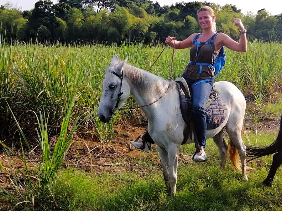 Cali: Horseback Riding - Choosing the right horse for your ability