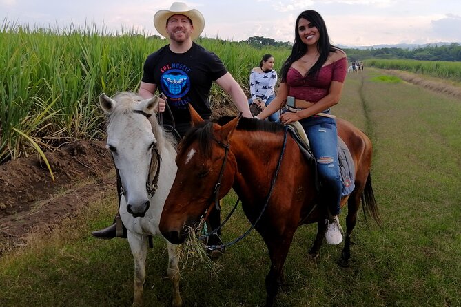 Cali: Horseback riding through beautiful landscapes and mountains - Key points to know before you ride