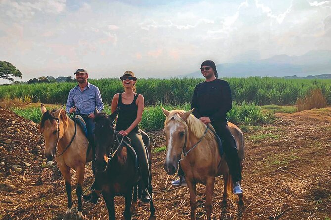 Cali: Horseback riding through beautiful landscapes and mountains - Why Dapa makes a good horseback riding setting