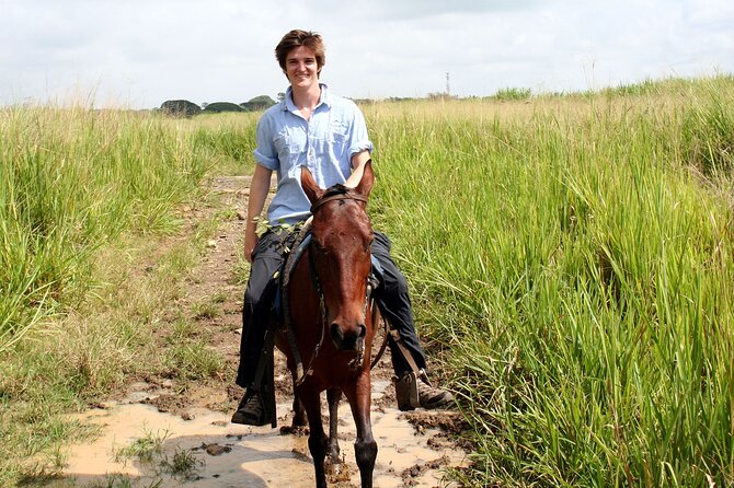 Cali: Horseback riding through beautiful landscapes and mountains - Two hours through the mountain scenery