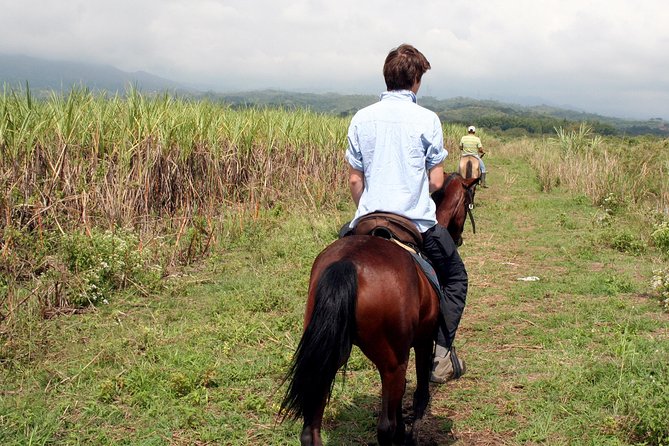 Cali: Horseback riding through beautiful landscapes and mountains - Who will enjoy this outing most