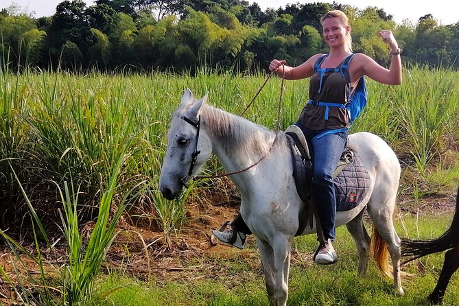 Cali: Horseback riding through beautiful landscapes and mountains - Getting started with the right horse