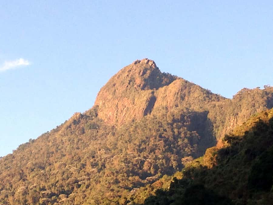 Cali: Pico de Loro Trekking Adventure - Farallones de Cali - Key points to know before booking