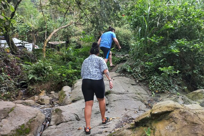 Cali River Waterfall Tour (4 hours) - Easy river time or a nearby waterfall walk