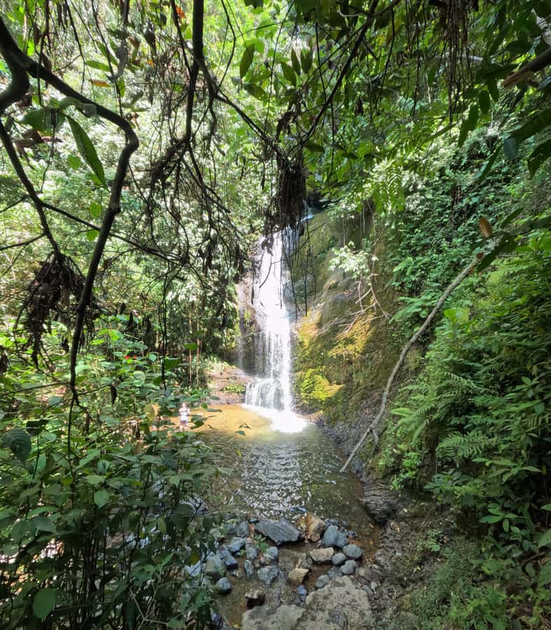 Cali River Waterfall Tour (Pance) - What the $59 Price Really Covers