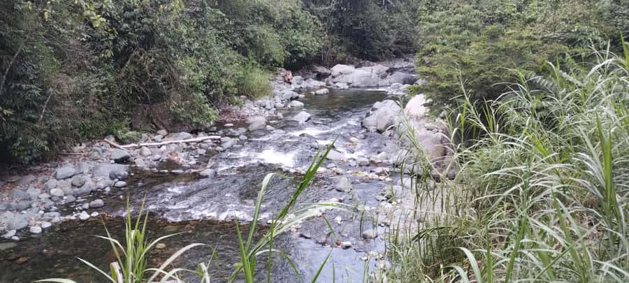 Cali River Waterfall Tour (Pance) - English Guidance and Communication