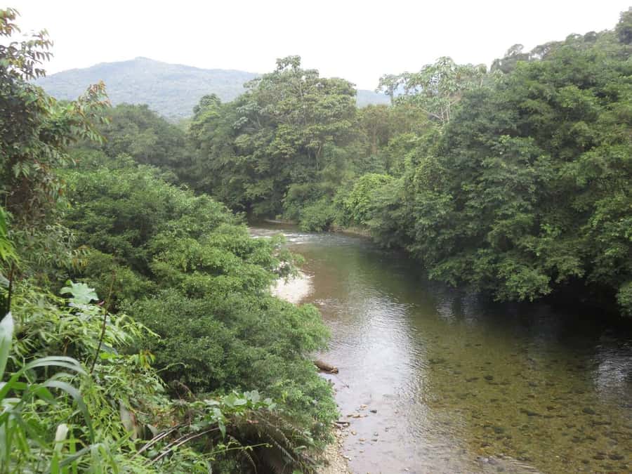 Cali: San Cipriano & River Adventure Day Tour - A walking tour with local context
