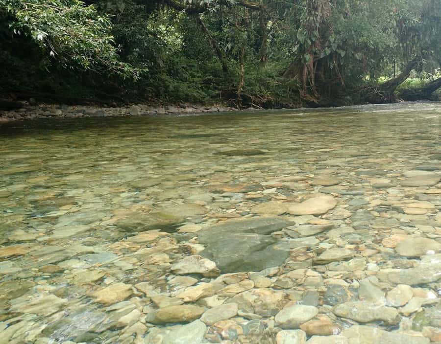 Cali: San Cipriano & River Adventure Day Tour - Is $123 a fair price?