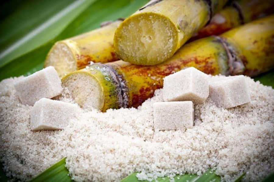 Cali: Sugar Cane Farm and El Paraiso Hacienda Day Trip - Key points at a glance