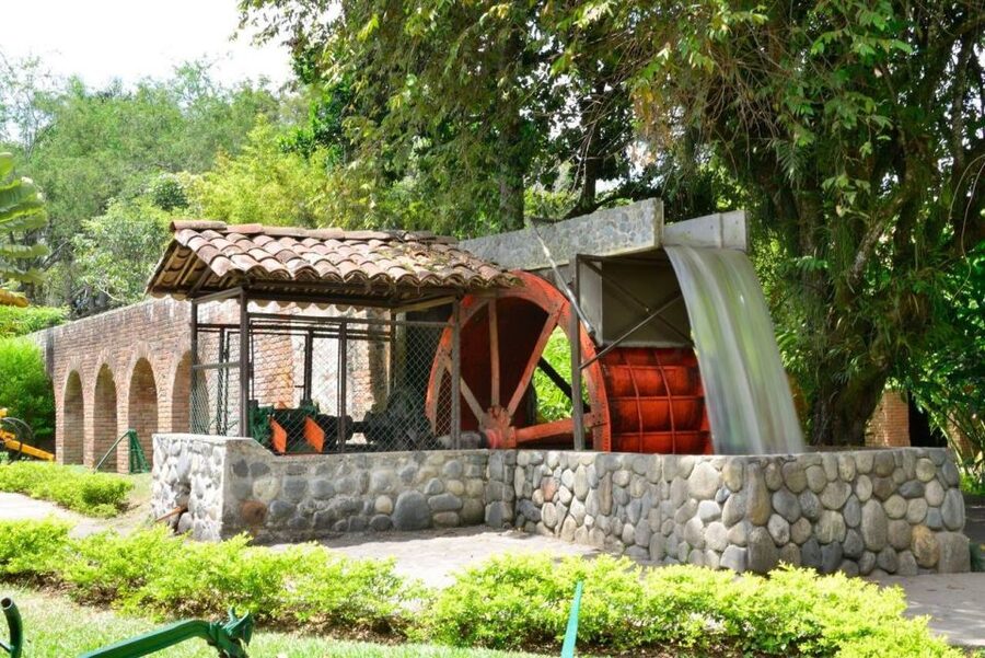Cali: Sugar Cane Farm and El Paraiso Hacienda Day Trip - Seeing sugar cane in the fields