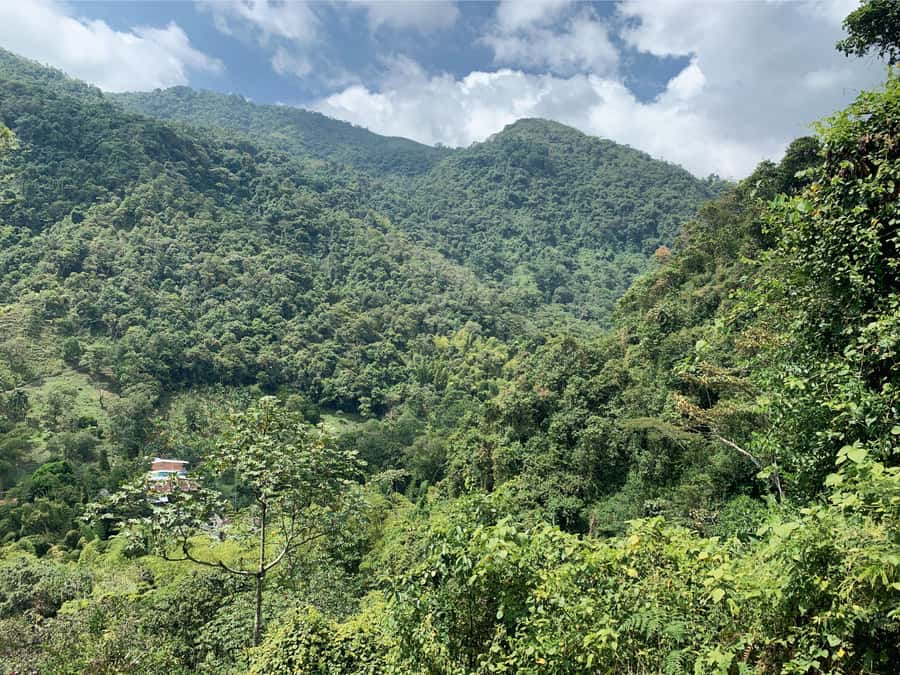 Cali: Tour of Waterfall in Pance River - Chorrera del Indio - The Optional Stop at Pance Park Health Foundation