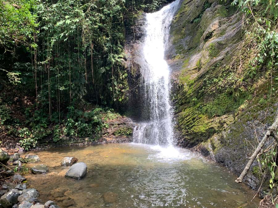 Cali: Tour of Waterfall in Pance River - Chorrera del Indio - Mateo’s Local Knowledge Matters