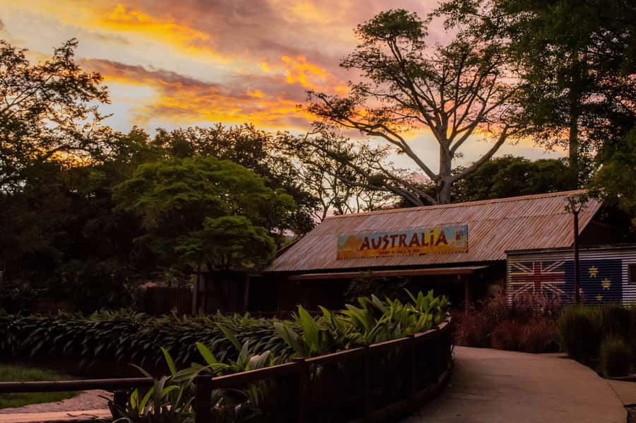 Cali Zoo Access Ticket - Key things to know before visiting