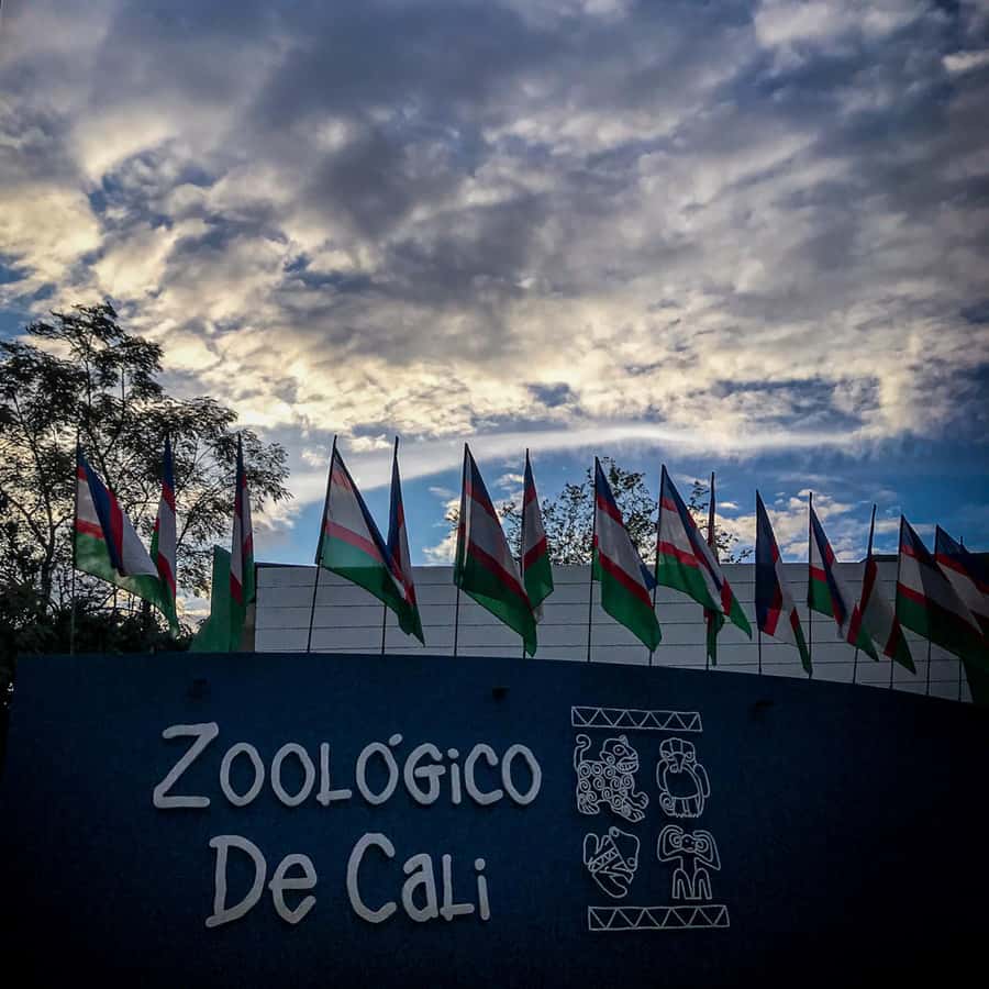 Cali Zoo Access Ticket - Language support and how to prepare