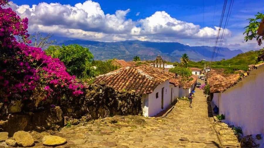Camino Real: Barichara-Guane Trekking Tour + Paleontological Museum - What the guide adds to the four-hour route