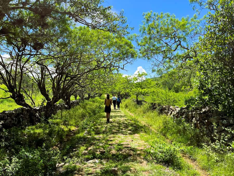 Camino Real: Barichara-Guane Trekking Tour + Paleontological Museum - Is $35 good value?